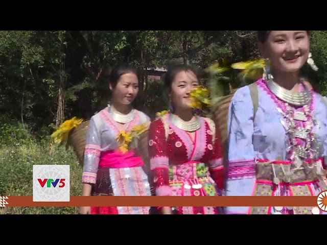 [TIẾNG MÔNG] ÂM VANG NÚI RỪNG | VTV5