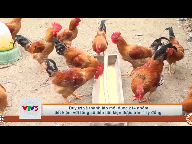 [TIẾNG MÔNG] TẠO SINH KẾ CHO PHỤ NỮ DÂN TỘC THIỂU SỐ PHÁT TRIỂN KINH TẾ | VTV5