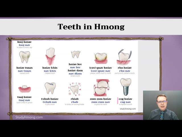Dental Vocabulary and Teeth in Hmong
