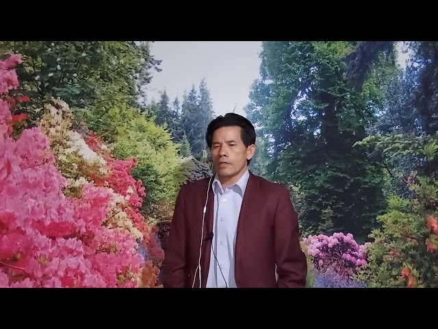 4/7/21 npis teb nkauj hmoob nplog zaj kwv txhiaj