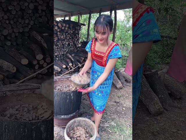 Daily life |  Living in the mountains of the Hmong people