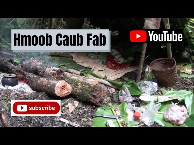 Hmoob Caub Fab (Dab Neeg Hmoob Caub Fab) – By Hmong Internaltional Talks