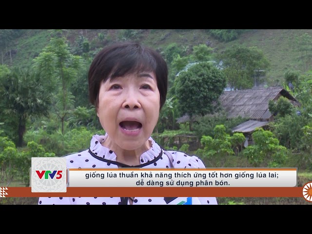 [TIẾNG MÔNG]  NÔNG DÂN SƠN LA ĐỔI THAY TƯ DUY SẢN XUẤT TỪ ỨNG DỤNG KHOA HỌC CÔNG NGH