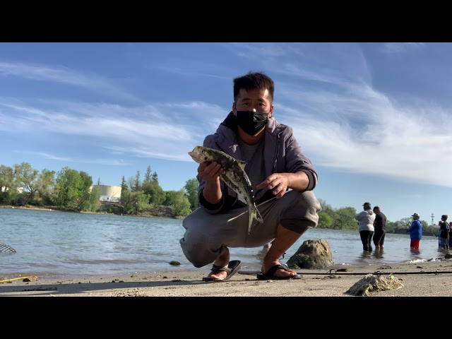 Hmong shads fishing Sacramento River