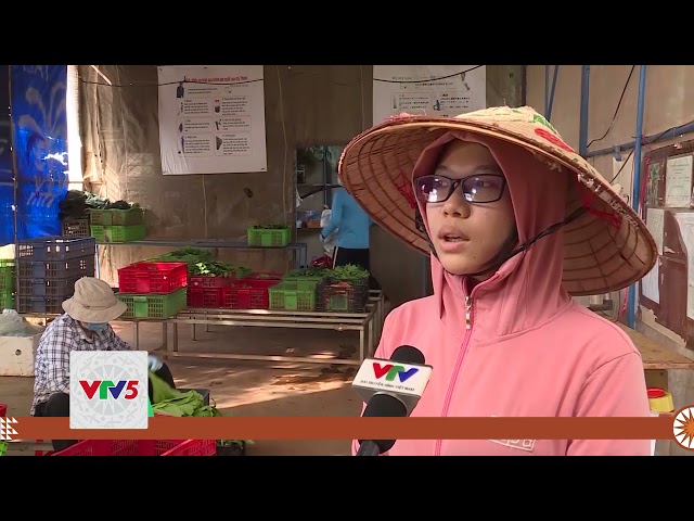 [TIẾNG MÔNG] PHÁT TRIỂN NÔNG NGHIỆP HỮU CƠ – HƯỚNG ĐI BỀN VỮNG | VTV5