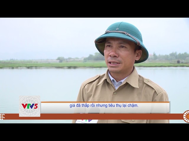 [TIẾNG MÔNG] KHÓ KHĂN TRONG PHÁT TRIỂN NUÔI TRỒNG THỦY SẢN NƯỚC NGỌT | VTV5