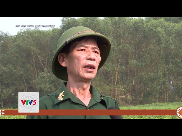 [TIẾNG MÔNG] HỘI CCB HÀM YÊN THI ĐUA PHÁT TRIỂN KINH TẾ | VTV5