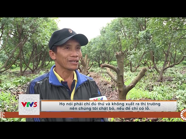 [TIẾNG MÔNG] PHÁT TRIỂN LỢI THẾ GẮN VỚI DU LỊCH | VTV5