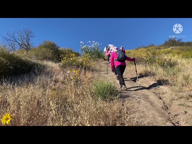 Hmong OC hiking at Skinsuit Trail Part 3 6/13/21