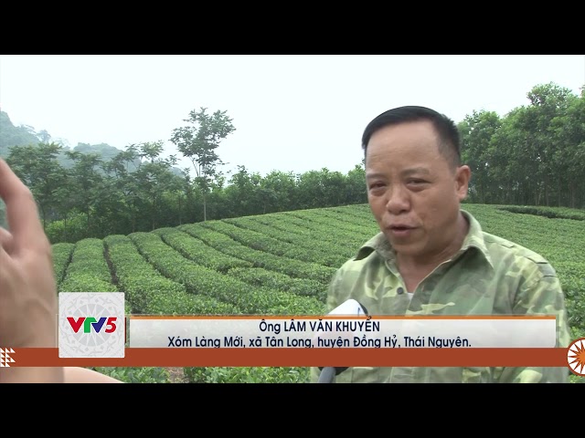 [TIẾNG MÔNG] TẠO ĐÀ CHO NÔNG DÂN PHÁT TRIỂN SẢN XUẤT | VTV5