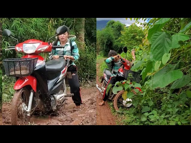 hmoob toj siab txoj kev mus teb phem kawg li os