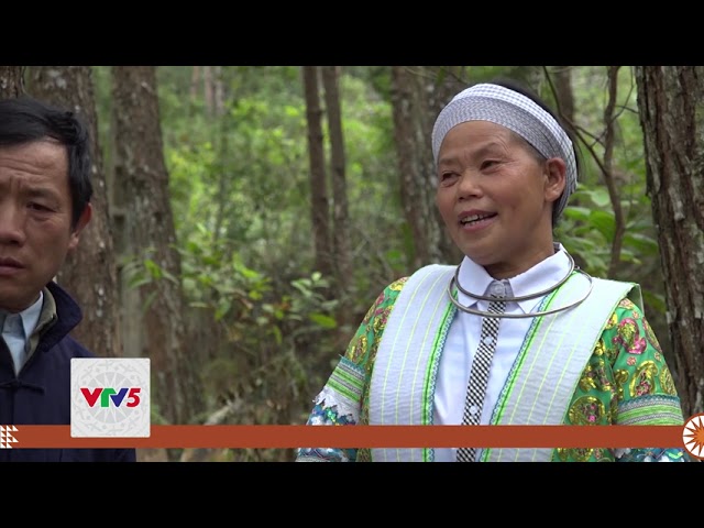 [TIẾNG MÔNG] CA NHẠC: LỜI HÁT DU XUÂN | VTV5