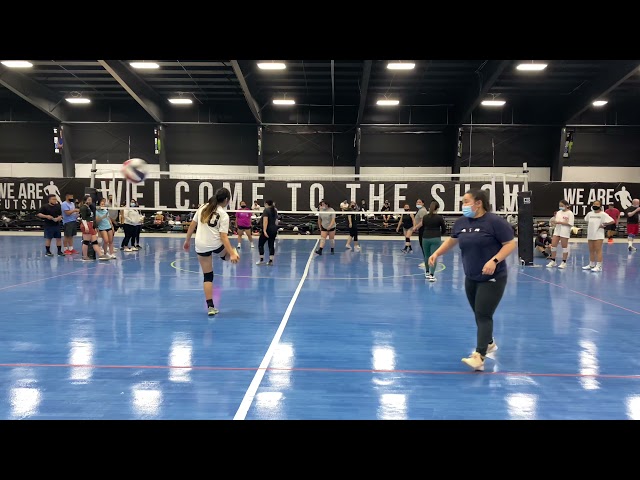 Prune Juice Hmong Michigan volleyball Game 1.2