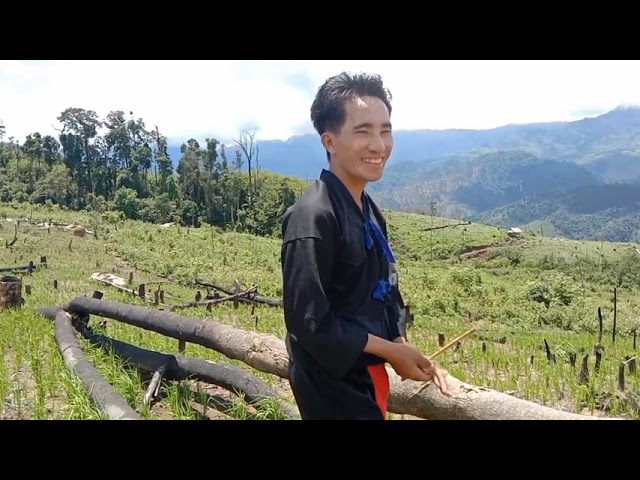 suab raj lev les thiab kwv txhiaj lom zem ua si 10.7.2021