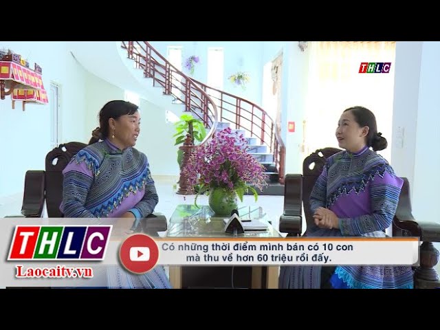 Chuyện của tôi tiếng Mông (10/7/2021) | THLC