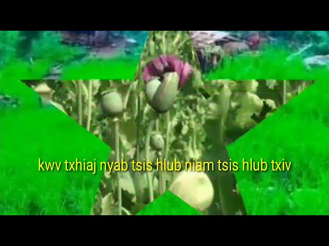 tub lwj liam kwv txhiaj nyab tsis hlub niam pog txiv yawg.17/7/2021