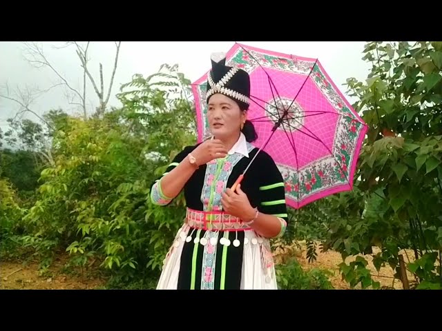 see hawj kwv txhiaj tau txiv tsis zoo lo tub ntxhai tsis hlub hais rau paj zaub 24.7.2021