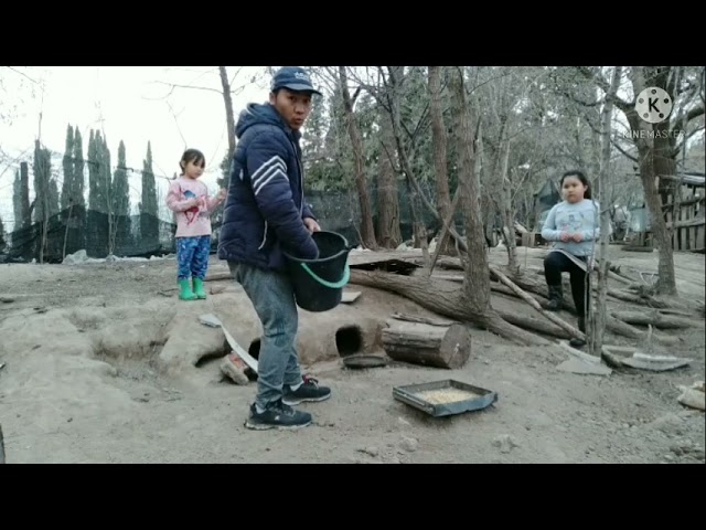 hmong Argentina ua teb 30/07/21
