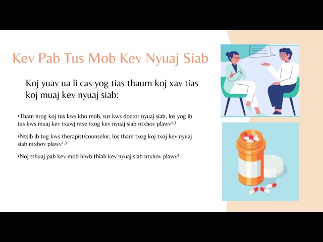 Mental Health Hmong Workshop