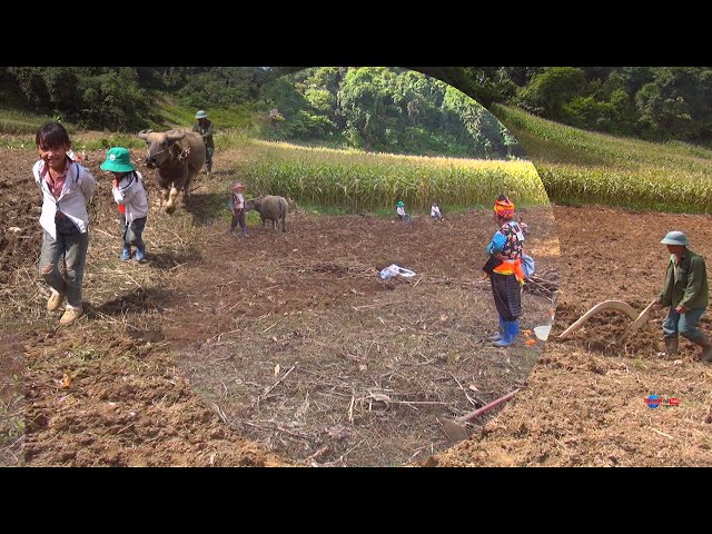 HMONG VILLAGES FARMING NORTH VIETNAM 2021