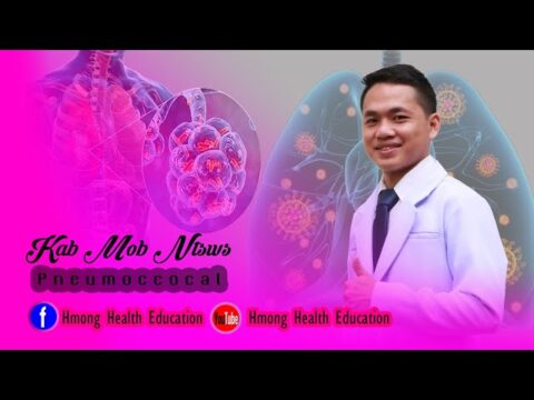 kab mob ntsws ntawm me nyuam yaus ( Pneumonia ) " Hmong Health Education "