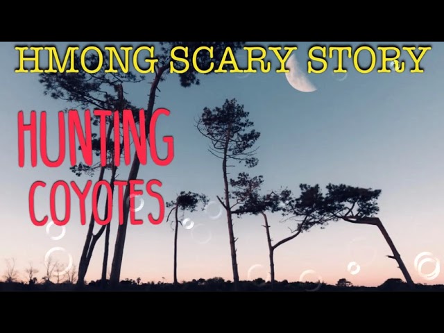 Hmong Scary Story-Hunting Coyotes