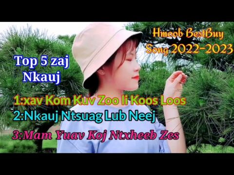 Hmong BestBuy Song –Suab kho siab Zoo Mloog Heev Tu Siab Tshaj –Tawm Tshiab 2022–2023