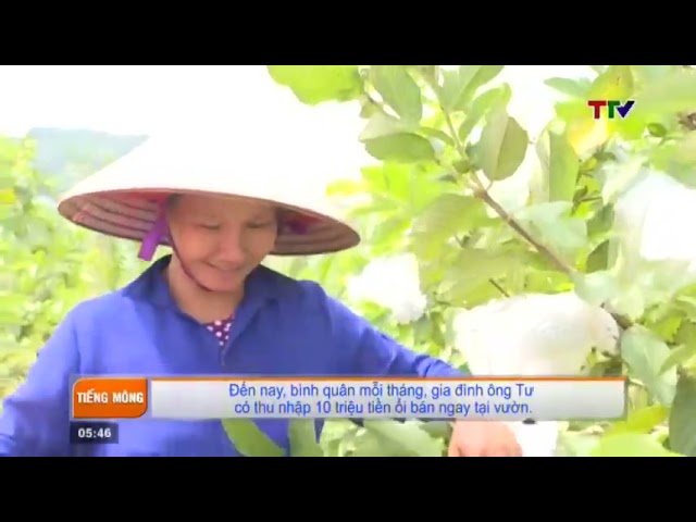 Thanh Hóa – Bản tin tiếng Mông (24/09/2021)