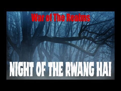 Hmong Shaman Ghost Demon Hunter Story