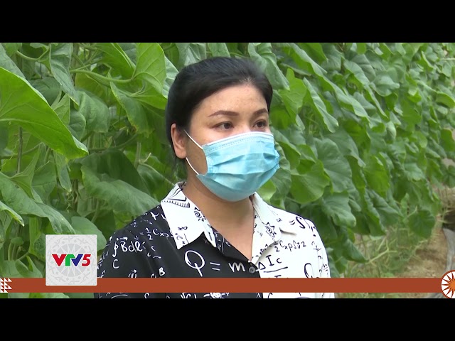 [TIẾNG MÔNG] SẢN XUẤT NÔNG NGHIỆP HỮU CƠ Ở BẮC KẠN | VTV5