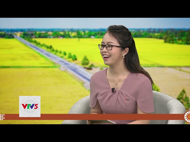 [TIẾNG MÔNG] PHÁT TRIỂN DƯỢC LIỆU QUÝ VIỆT NAM  | VTV5