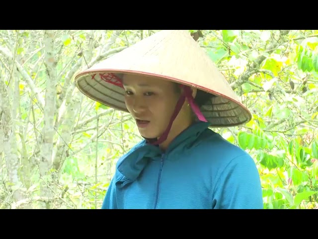 20-10 Chương trình tiếng Mông. ”backantv.vn”