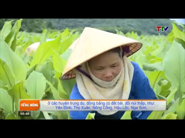 Thanh Hóa – Chương trình tiếng Mông (11/10/2021)