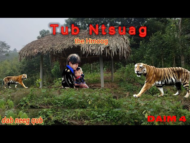 dab neeg tu siab | tub ntsuag lwj the hmong {part 4} 17/11/2021
