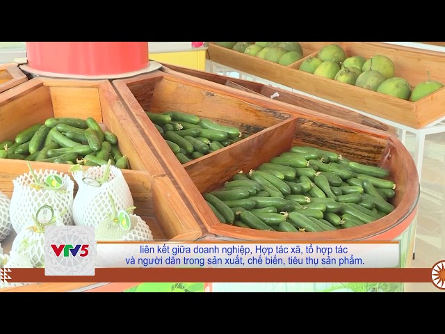 [TIẾNG MÔNG] PHÁT HUY HIỆU QUẢ CÁC CHÍNH SÁCH HỖ TRỢ PHÁT TRIỂN SẢN PHẨM OCOP | VTV5