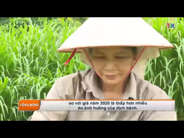 10-11 Chương trình tiếng Mông. ”backantv.vn”
