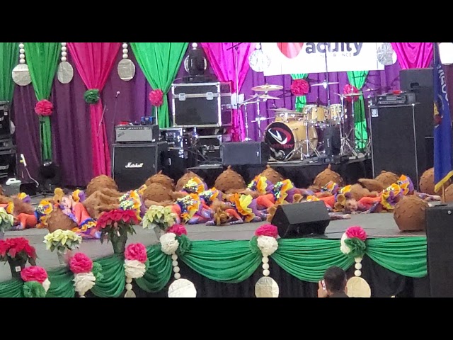 Sheboygan hmong New Year  2021