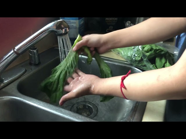Hmong Semester 1 Food project Ivan Yang