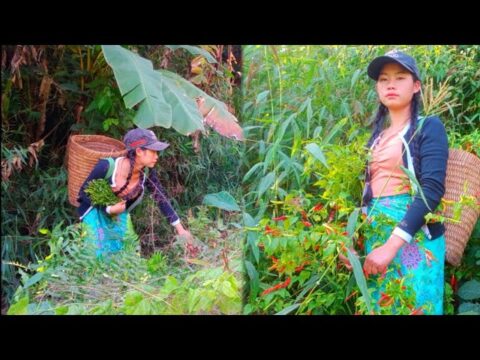 Hmong girls go looking for natural food
