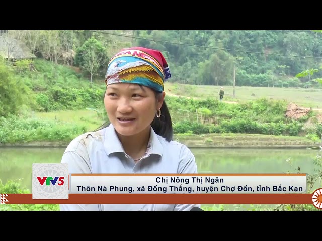[TIẾNG MÔNG] BẮC KẠN TÍCH CỰC BẢO VỆ MÔI TRƯỜNG | VTV5