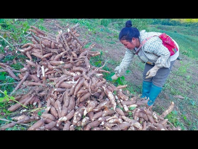 Hmong Life In Na Khoang Village, Viet Nam 「December 8, 2021」