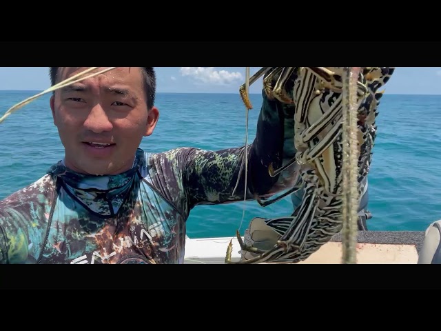 Paj Txos Thoj Hmong Australia Part 4 Fishing with my sons