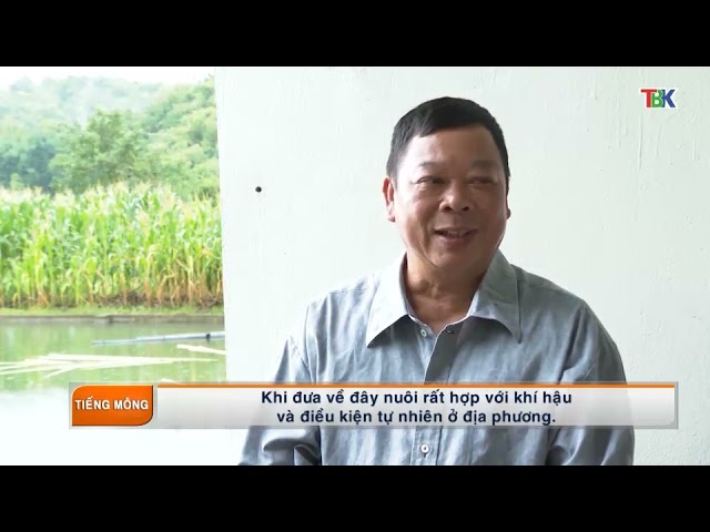 15-12 Chương trình tiếng Mông. ”backantv.vn”