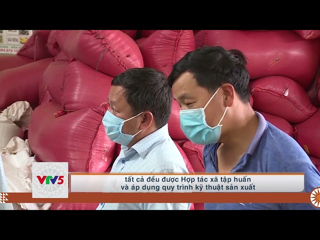 [TIẾNG MÔNG] PHÁT TRIỂN NÔNG NGHIỆP CÔNG NGHỆ CAO | VTV5