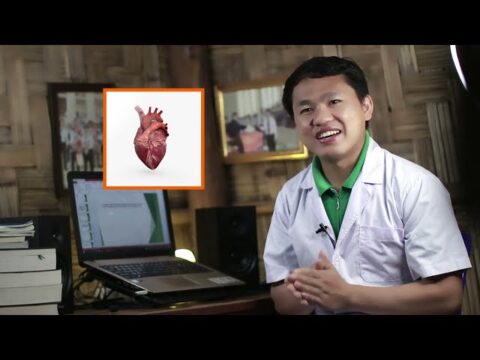Hmong Health Education Tshuaj Siv Uas Yuav Tau Muaj Cia Hauv Tsev EP: 07