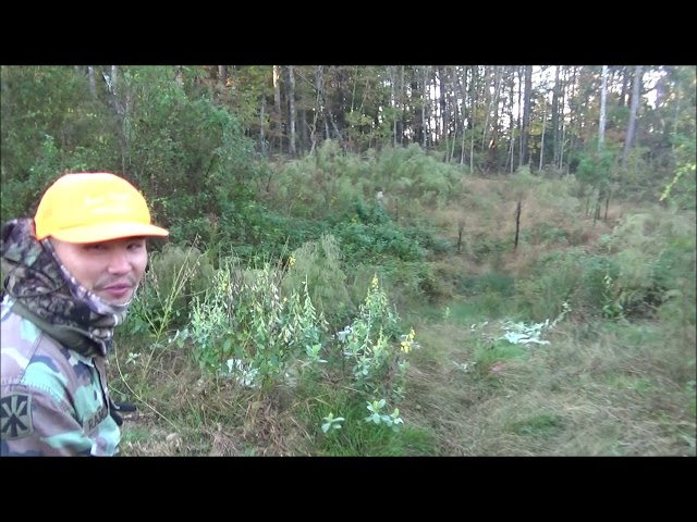 Hmong NC First Deer Killed 2021