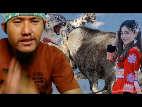 01/04/22 hmong talk show:  Ua neeb saib Vuab Tsuab