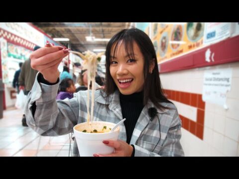 ✧ Vlog ✧ Back at Minnesota’s Hmong Village! Amazing Asian/Hmong Food Tour | Full for less than $50!