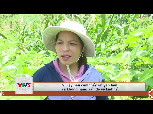 [TIẾNG MÔNG] BẮC KẠN CHÚ TRỌNG PHÁT TRIỂN HỢP TÁC XÃ | VTV5