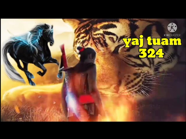 yaj tuam The Hmong Shaman warrior (part 324)28/1/2022
